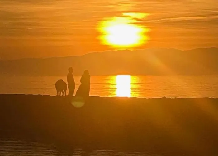 Au Bord Du Leman Pully